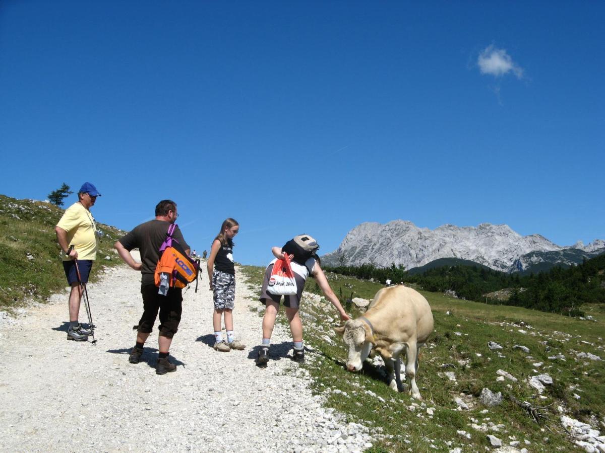Alpine Chalet Velika Planina - Irenca - I Feel Alps Stahovica Luaran gambar